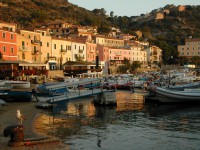 /album/mete-possibili-con-il-charter-/giglio-jpg/